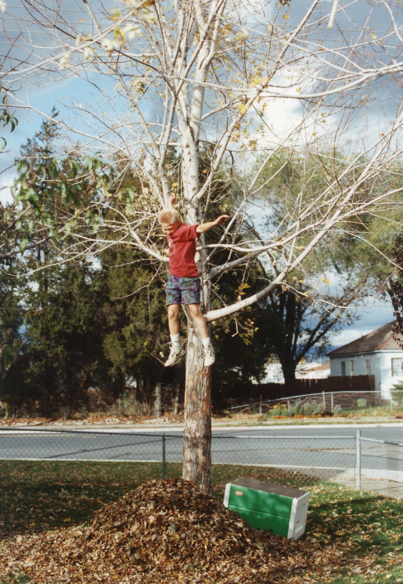 1992 Murray--Fall Leaves Stephen 001